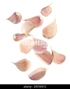Falling garlic cloves isolated on white background Stock Photo - Alamy