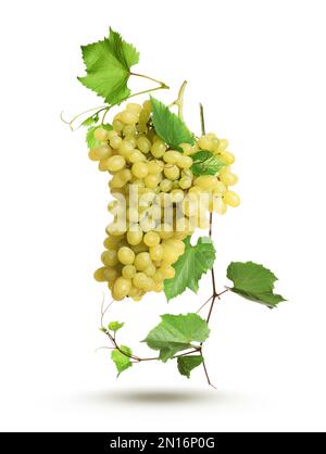 Fresh ripe grape cluster with green leaves falling on white background Stock Photo