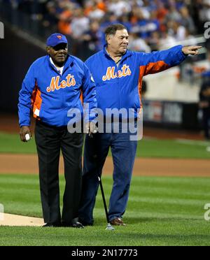 New York Mets Gregg Jefferies at the spring training baseball facility in  Orlando, Florida on March 12, 1989. Photo by Francis Specker Stock Photo -  Alamy