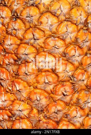 Close up of pineapple skin texture. Peel of ripe Pineapple (Ananas comosus) of orange color Stock Photo