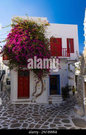 whitewashed houses in the narrow alleyways of the city of Mikonos, Mykonos, Greece Stock Photo