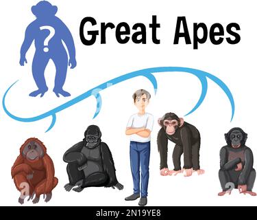 Five different types of great apes illustration Stock Vector