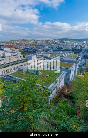 Roof greening on flat roof buildings at Kronenstaffel, Stuttgart, Baden ...
