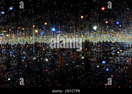 the-japanese-artist-yayoi-