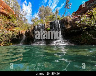 Fern Pool, Dale Gorge, Karijini National Park, Western Australia, Australia, Pacific Stock Photo