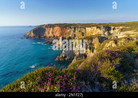 Cligga Head, Perranporth, Cornwall, England, United Kingdom, Europe Stock Photo