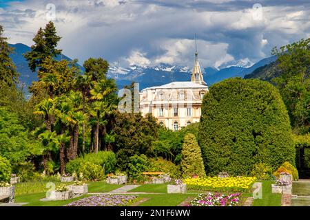 The botanical gardens of Villa Taranto, Pallanza, Lake Maggiore, Verbania District, Piedmont, Italian Lakes, Italy, Europe Stock Photo