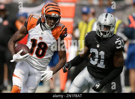 Cincinnati Bengals Wide Receiver A.J. Green Stock Photo - Alamy