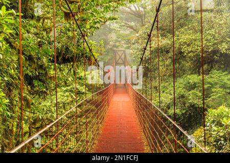 Hanging bridge in a cloud forest, Monteverde, Reserva Biologica Bosque Nuboso Monteverde, Puntarenas, Costa Rica, Central America Stock Photo