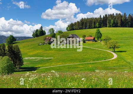 Black Forest house, Breitnau, Black Forest, Baden-Wurttemberg, Germany, Europe Stock Photo