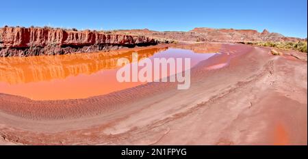 The red water of Lithodendron Wash, red from bentonite clay, in Petrified Forest National Park, Arizona, United States of America, North America Stock Photo