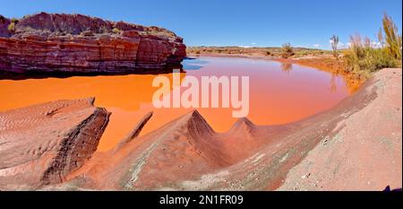 The red water of Lithodendron Wash, red from bentonite clay, in Petrified Forest National Park, Arizona, United States of America, North America Stock Photo