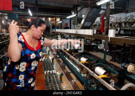 Woman working in a traditional silk factory, Tan Chau, Vietnam, Indochina, Southeast Asia, Asia Stock Photo