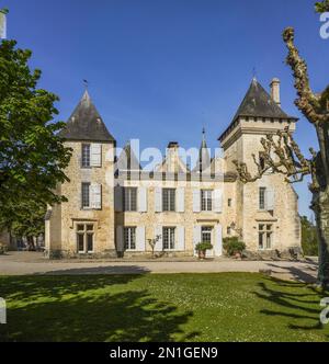 Wine Estate Chateau Carignan, castle, Carignan de Bordeaux, France. Stock Photo