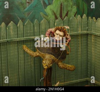 boy turtle rider, speed concept Stock Photo - Alamy