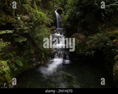 Avalanche creek waterfall long exposure, idyllic river cascade in lush green nature at Arthurs Pass National Park Canterbury South Island New Zealand Stock Photo