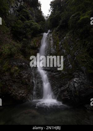 Avalanche creek waterfall long exposure, idyllic river cascade in lush green nature at Arthurs Pass National Park Canterbury South Island New Zealand Stock Photo