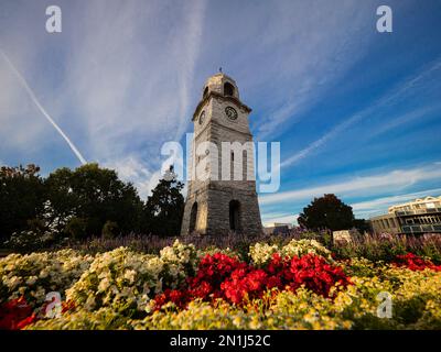 Historical stone clock tower World War Memorial on Seymour Square surrounded by colourful flowers in city center of Blenheim Marlborough South Island Stock Photo