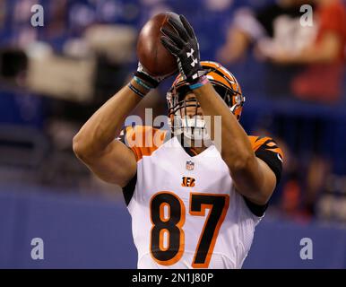 Cincinnati Bengals tight end C.J. Uzomah (87) celebrates a catch