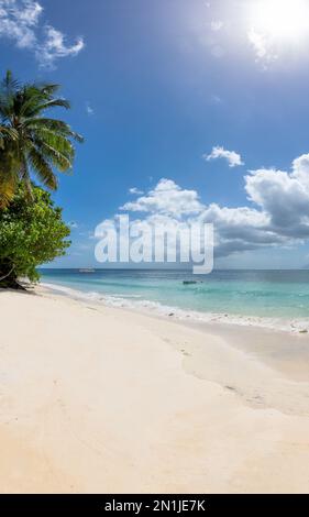 Sunshine tropical Beach with palm trees on white sand and tropical sea in paradise island. Stock Photo