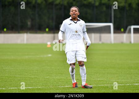 Swansea, Wales. 4 February 2023. Aimar Govea of Swansea City under pressure  from Finley Cotton of Millwall during the Professional Development League  game between Swansea City Under 18 and Millwall Under 18