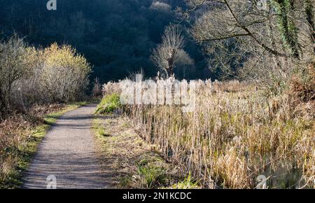 Cromford Canal between Whatstandwell and High Peak Junction, Derbyshire Stock Photo