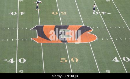 Raiders refuse to paint 50-yard line marker gold at O.co Coliseum