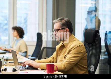Side view of experienced manager typing on laptop keypad and looking at screen by workplace while networking in openspace office Stock Photo