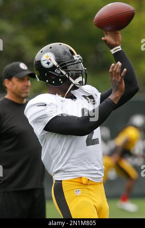 Pittsburgh Steelers quarterback Michael Vick (2) scrambles for