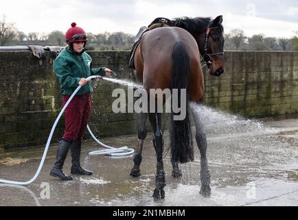 Horses are washed down after morning exercise at Willie Mullins' yard at Bagenalstown in County Carlow, Ireland. Picture date: Monday February 6, 2023. Stock Photo