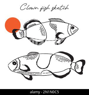 Clownfish graphic illustration. Smiling clown fish. Coloring page. Vector Stock Vector