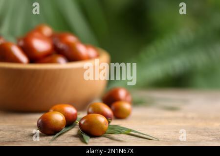 Fresh ripe oil palm fruits on wooden table, closeup. Space for text Stock Photo
