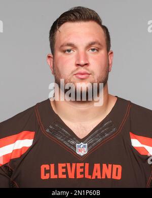 Cleveland Browns quarterback Brian Hoyer warms up before an NFL football  game against the Indianapolis Colts Sunday, Dec. 7, 2014, in Cleveland. (AP  Photo/Tony Dejak Stock Photo - Alamy