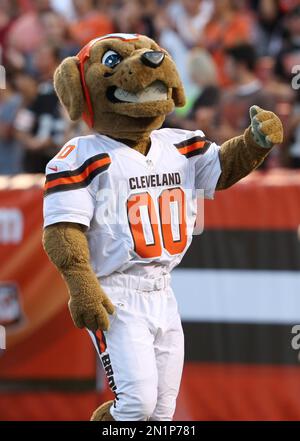 Chomps Cleveland Ohio NFL Mascot the Cleveland Browns Editorial