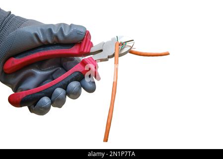 Cutting the computer network wire in the office in pieces, isolated on a white background Stock Photo