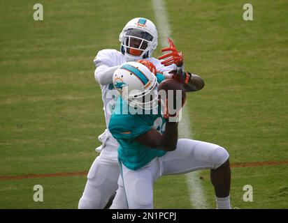 Miami Dolphins wide receiver Tony Martin (80) warms up before a