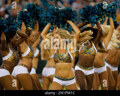 Jacksonville Jaguars fans bundle up from the cold weather during an NFL  football game against the Washington Redskins in Jacksonville, Fla.,  Sunday, Dec. 26, 2010.(AP Photo/Phelan M. Ebenhack Stock Photo - Alamy