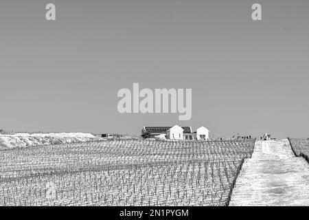 Hermanus, South Africa - Sep 20, 2022: Farm buildings and wineyards at Benguela Cove Wine Estate near Hermanus in the Western Cape Province. Monochrom Stock Photo