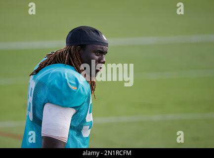 August 19, 2023: Miami Dolphins linebacker Andrew Van Ginkel (43) during a  preseason game between the Miami Dolphins and the Houston Texans in  Houston, TX. Trask Smith/CSM (Credit Image: © Trask Smith/Cal