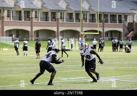 Baltimore Ravens linebacker Zach Orr (45) during the first half of an NFL  preseason football game Saturday, Aug. 16, 2014, in Arlington, Texas. (AP  Photo/Brandon Wade Stock Photo - Alamy