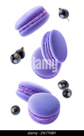 Black currants macaroons levitation, vertical isolated on white background Stock Photo