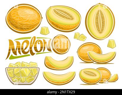 Vector Melon Set, poster with lot collection of cut out illustrations fruit still life composition, ripe chopped melon fruit with grains in glass dish Stock Vector