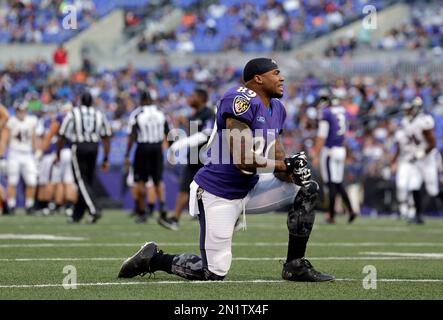 Baltimore ravens wr steve smith hi-res stock photography and images - Alamy