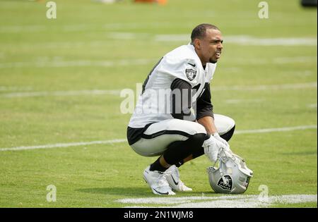 Oakland Raiders wide receiver Andre Holmes (18) during an NFL preseason  football game against the Arizona Cardinals, Friday, Aug. 12, 2016, in  Glendale, Ariz. (AP Photo/Rick Scuteri Stock Photo - Alamy