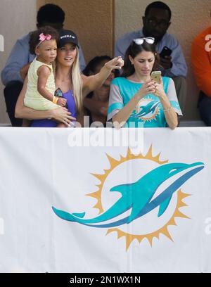 Lauren Tannehill, wife of AFC quarterback Ryan Tannehill of the Tennessee  Titans, carries their daughter, Stella Rose Tannehill, on the field during  warmups before the NFL Pro Bowl football game against the