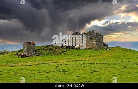 Beautiful icelandic lonely quiet rural landscape, abandoned old idyllic farm house ruin on green hill with herd horses, dark storm clouds - Iceland Hi Stock Photo