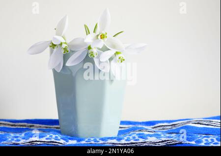 White fresh natural snowdrops flowers in light green ceramic vase on blue woven cloth Stock Photo