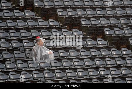 A lone Kansas City Royals fan stands with a section of Los Angeles Angels  fans during Game 2 of baseball's AL Division Series in Anaheim, California,  Friday, Oct. 3, 2014. A California