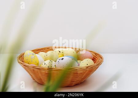 Happy Easter. Multicolored eggs in wooden plate on white background. Defocused focus on foreground on green grass. Spring holiday. Copy space for text Stock Photo