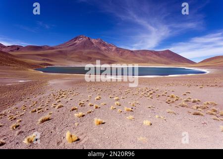 Vies of the highland lagoons Miscanti and Miniques in Chile Stock Photo